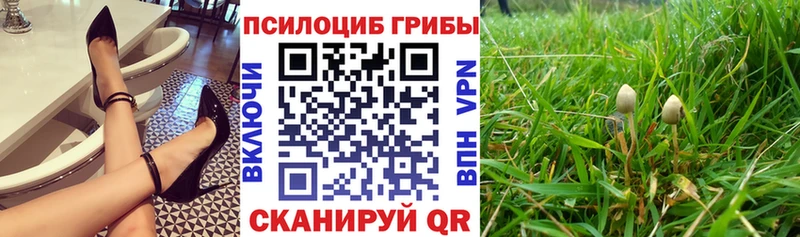 Купить закладки Семилуки Псилоцибиновые грибы мухоморы